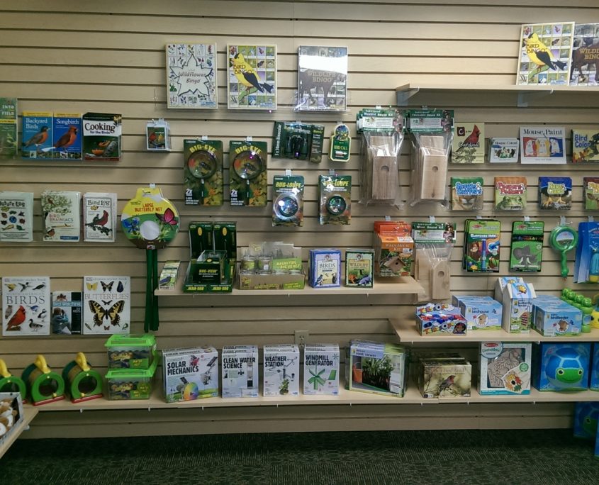 Bird Junction About – WildBird Junction